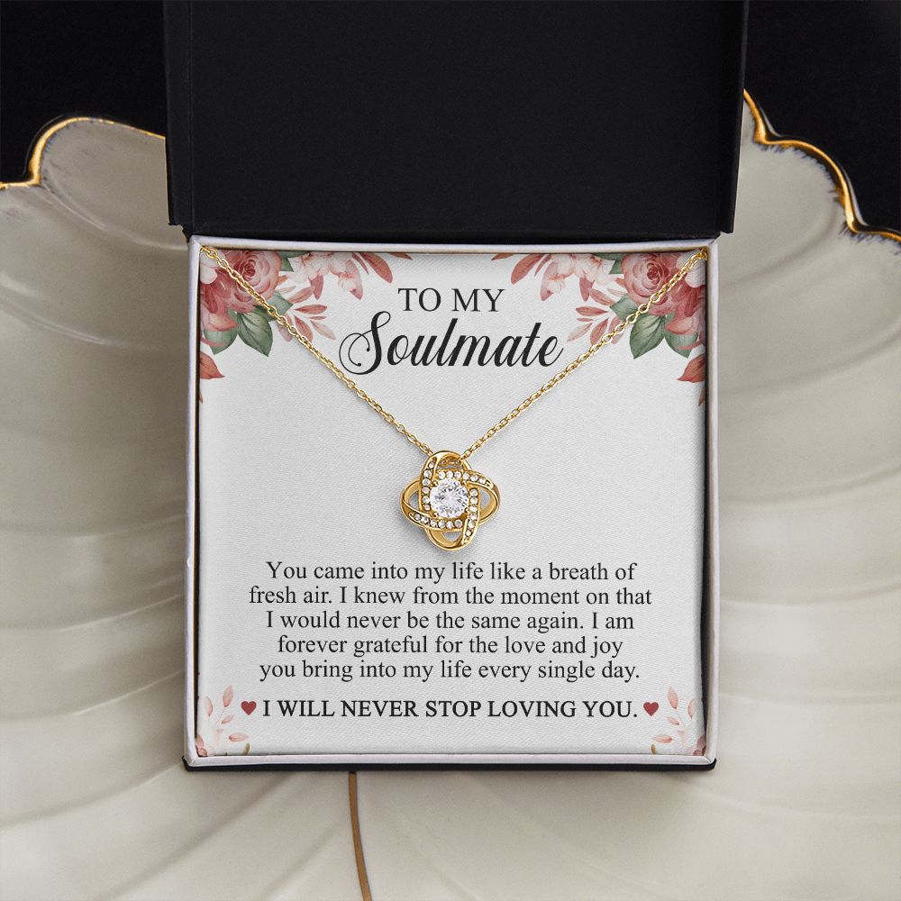To My Soulmate - I Will Never Stop Loving You Necklace