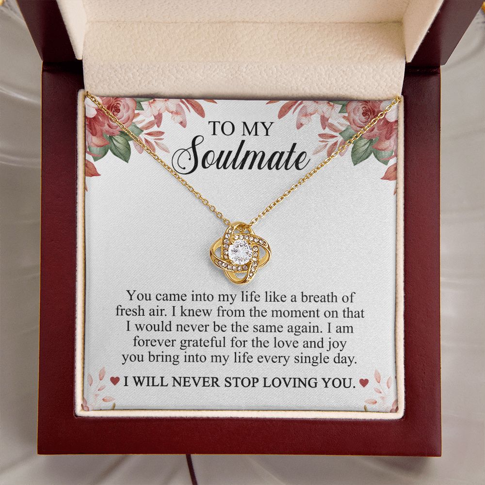 To My Soulmate - I Will Never Stop Loving You Necklace