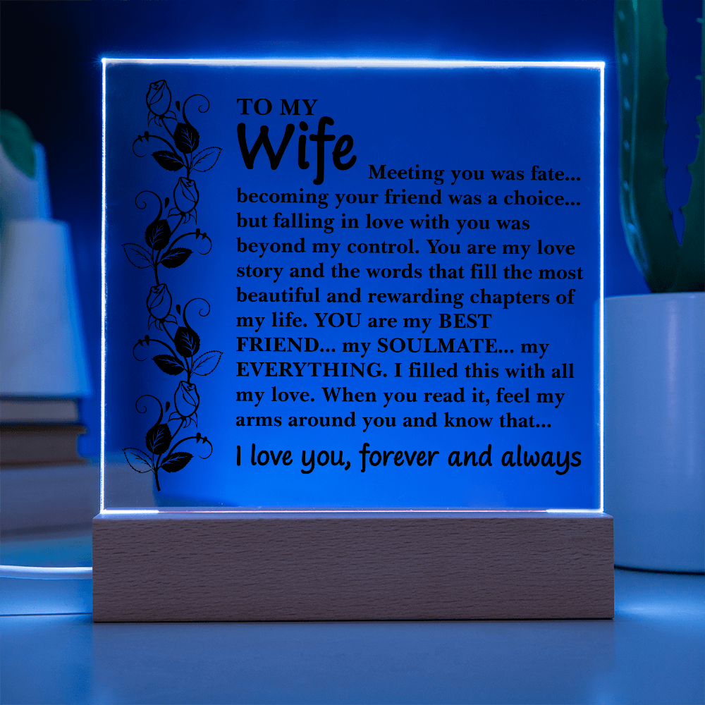 To My Wife – You Are My Everything Acrylic LED Plaque