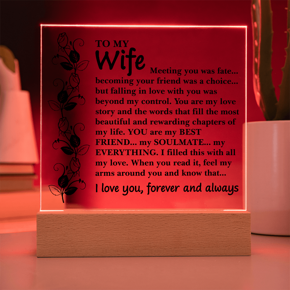 To My Wife – You Are My Everything Acrylic LED Plaque