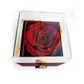 To My Wife – Last Everything (Necklace with Rotating Rose Box)