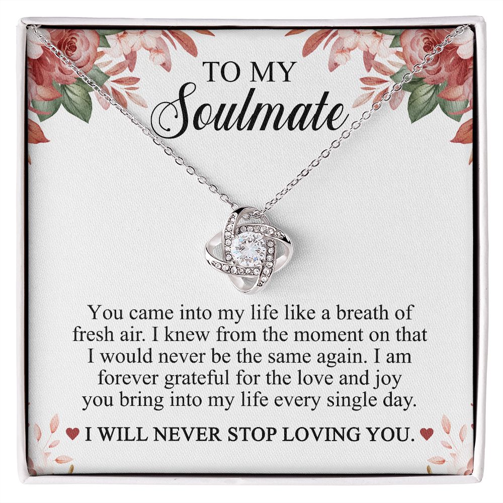 To My Soulmate - I Will Never Stop Loving You Necklace
