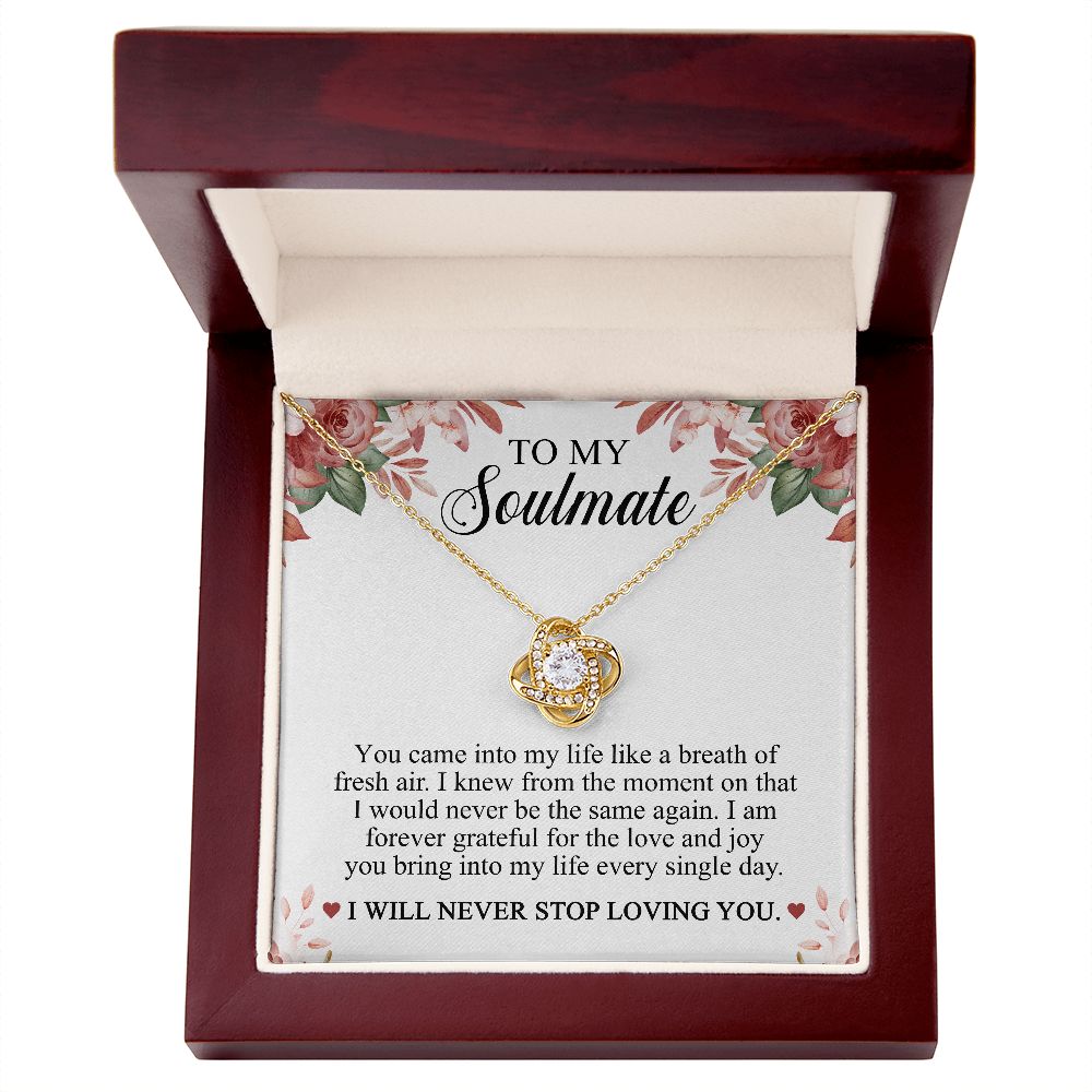 To My Soulmate - I Will Never Stop Loving You Necklace